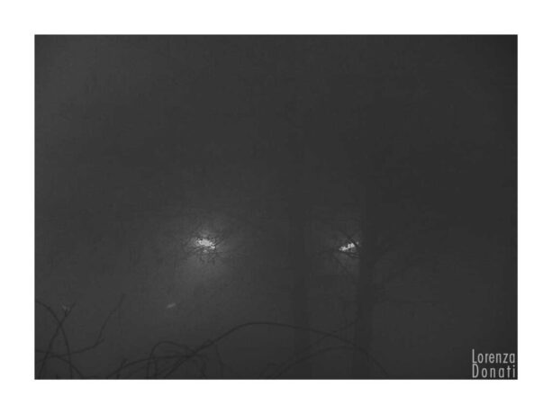 superba è la notte