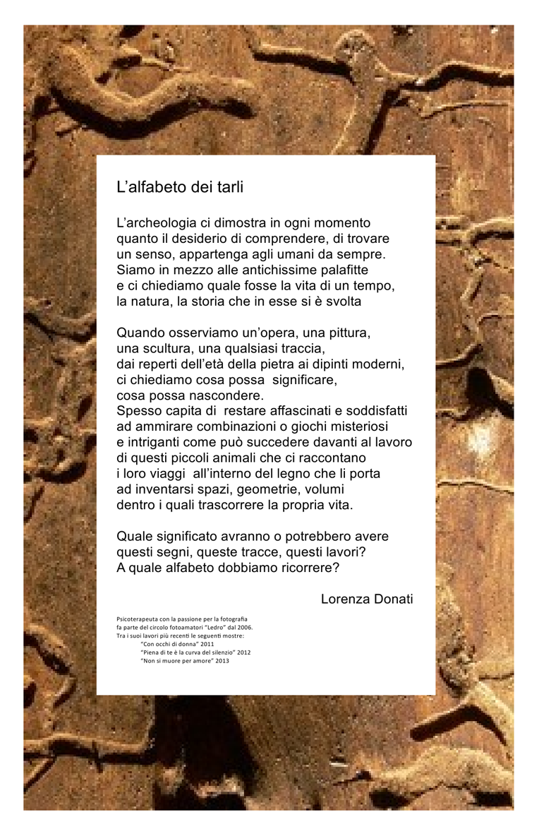 locandina alfabeto dei tarli